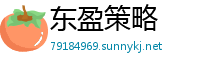 东盈策略